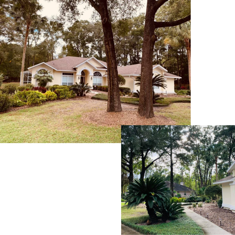 GIG Landscaping Dual Pic Home Page