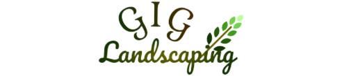 GIG Logo (492 x 110) No BG